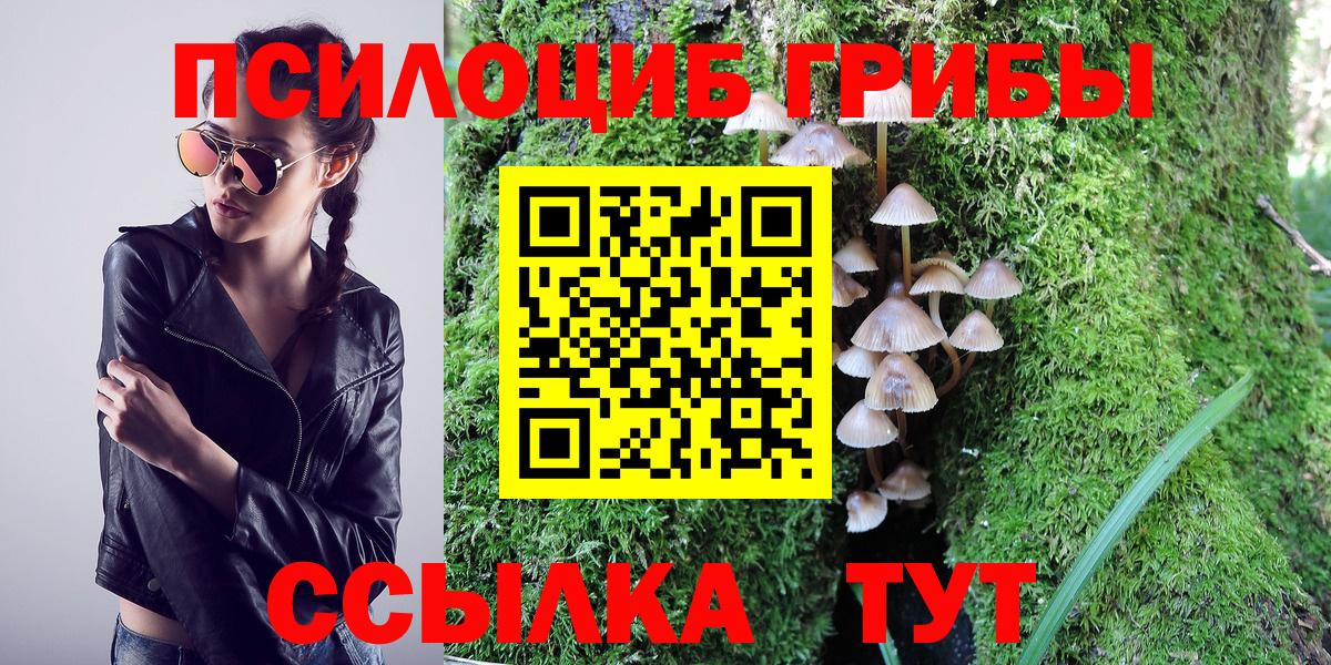 Псилоцибиновые грибы прущие грибы  Вход с VPN  Псилоцибиновые грибы мицелий  Октябрьский 