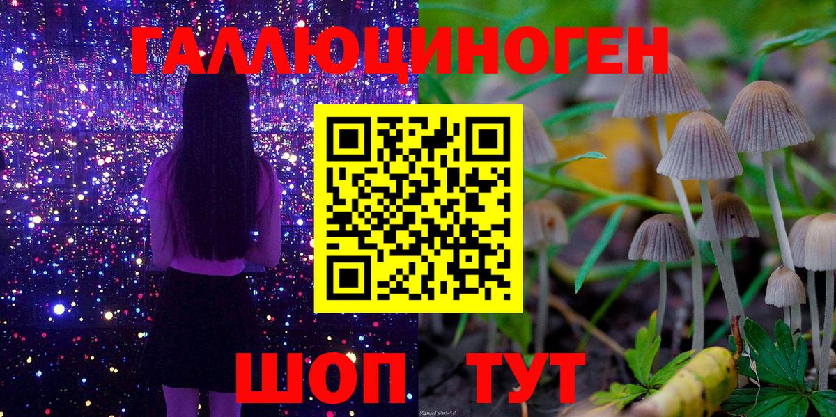Галлюциногенные грибы Cubensis Октябрьский